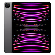 iPad Pro 12.9" (2022, M2 series) Wi-Fi