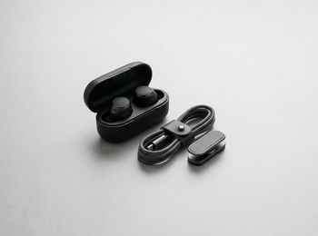 Earphones